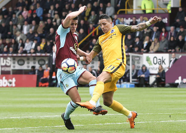 球星个体发 球星个体发